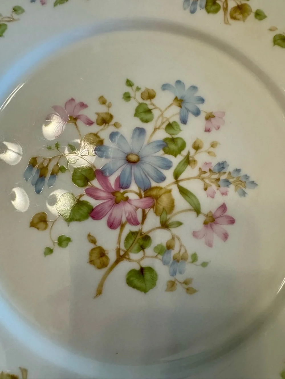 Noritake Melody Floral Porcelain DinnerPlates - Blue, Pink & Green